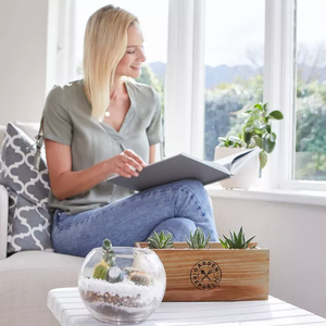 Kit per la coltivazione di piante da interno in miniatura per regali donna <span class=keywords><strong>Cactus</strong></span> da giardino e succulento - Product Image 3