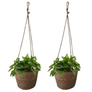 Cesto pensile in fibra naturale da 25 cm di diametro per piante da interno ed esterno - Product Image 1