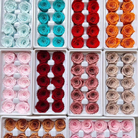 Têtes de roses éternelles faites main DIY 2-3cm 3-4cm 4-5cm – Décoration longue durée pour mariages et remises de diplômes, coffret cadeau Fête des Mères et Saint-Valentin