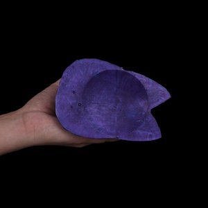 Dildo de silicona de doble cabeza, pene de goma con forma de monstruo animal, plug anal, juguete sexual para estimulación y masturbación lésbica - Product Image 6