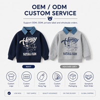 Sudadera de Oso con Cuello Desmontable para Niños, Moda Infantil, Mezcla de Algodón, Manga Larga, Estilo Casual Otoñal, Venta al Por Mayor