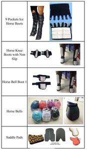 <span class=keywords><strong>Cavallo</strong></span> da equitazione e <span class=keywords><strong>cavezza</strong></span> - Product Image 5