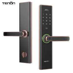 Home Keyless Lối Vào Khóa Cửa Điện Slim Dấu Vân Tay Hai Mặt Khóa Cửa Thông Minh Mật Khẩu Một Lần