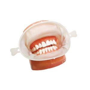 Denti sbiancamento guancia divaricatore orale in gomma con titolari bocca dentale espansore guancia spalmatore - Product Image 6