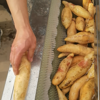 Gemengde oogst flexibele wortelgewaswasser en -schiller voor aardappelen, wortelen, gember, taro en verwerkers van verse producten