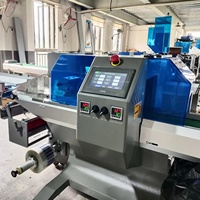 Machine d'emballage horizontale Flow Wrap pour l'emballage de type coussin, en promotion directe usine