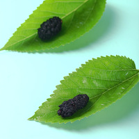 Mûres noires séchées 100% naturelles à vendre