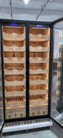 Humidor réfrigéré Ne-197-8 avec logo personnalisé, doré, 2 portes vitrées, double zone, 545L, pour 4400 cigares