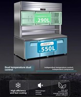 Réfrigérateur-congélateur combiné 2 sections, congélateur en bas, refroidisseur en haut, double température -18°C -25°C, acier inoxydable 304, 5000-10000W