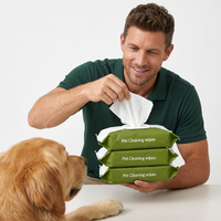Lingettes pour animaux de compagnie pour chiens et chats, 100 pièces, parfum floral, lingettes de toilettage avec aloe vera, vitamine E, hypoallergéniques, sans rinçage, nettoyage en profondeur doux