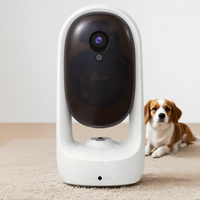 2025 nouveau chat compagnon Robot w Auto-Laser Vision de nuit éco-certifié App contrôle surveillance à domicile Fitness Tracker OEM vendeur chaud