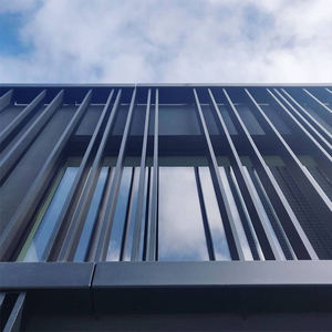 Israel <span class=keywords><strong>Market</strong></span> Factory Wholesale <span class=keywords><strong>Price</strong></span> Extrusão De Alumínio para Porta Do Obturador Do Rolo Perfil De Alumínio Alumínio Protructed Airfoil - Product Image 3