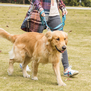 無料サンプルカスタム戦術デザイナー犬トレーニングカラー防水ペットカラーバックル調節可能な高級ペットカラー - Product Image 4