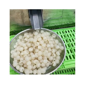 Albicocca Pesco Ciliegia Oliva Semi Rimozione Destiner Macchina Albicocca pit Rimozione Vaioli Macchina Automatica - Product Image 6