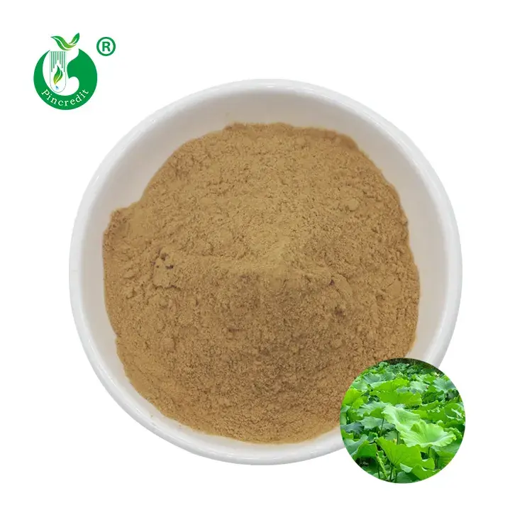 Pincredit Bulk Pure Natural Nuciferine Lotus Leaf Extract Powder