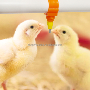 Bebedero Automático de Acero Inoxidable y Plástico YYW LM49 <span class=keywords><strong>para</strong></span> Pollos de Engorde, <span class=keywords><strong>Gallinas</strong></span> Ponedoras, Uso en Jaulas/Ala Libre - Product Image 1