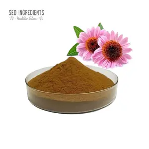 ธรรมชาติ 10:1 20:1 Echinacea Purpurea สารสกัดจากสมุนไพรผง