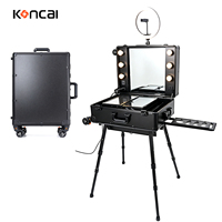 Valise de maquillage professionnelle en aluminium sur roulettes, grande capacité, pour artistes, avec organisateur intégré