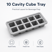 Molde de silicona para hielo de 10 cavidades para café, jugo, té, servicio de bebidas frías en bares - Colección de temporada