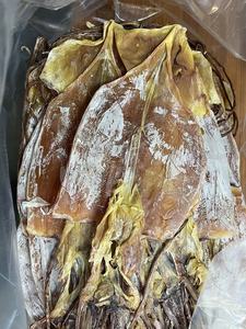 Calmar du Pérou séché et épluché, 6 à 8 pièces par kg, calmar séché Dosidicus Gigas - Product Image 4