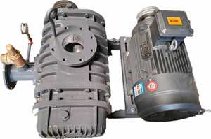 Soplador de raíces resistente a la corrosión recubierto de eflón de alta calidad 0,75 ~ 18.5KW Neumático, transporte y tratamiento de aguas residuales de acuicultura - Product Image 2