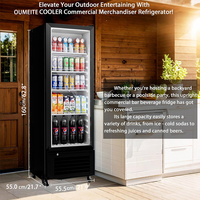 Réfrigérateur Vitrine Vertical à Porte Vitrée pour Boissons, Sans Givre