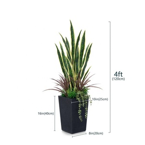 <span class=keywords><strong>OH</strong></span> ARTS Plante Serpent Artificiel Plante Plastique Faux Vert Jaune Dongguan Usine pour Fournitures de Jardin Décoration - Product Image 4