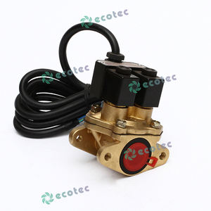 Flanş/iplik bağlantısı ile Ecotec 1 inç Solenoid valf - Product Image 5