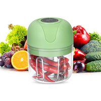 Mini Hachoir à Ail Électrique, Lame en Acier Inoxydable Rechargeable par USB, Coupe Légumes Viande Oignon, Outil de Cuisine à Pousser