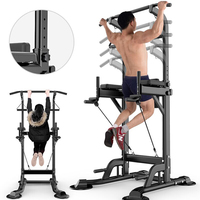 Station de musculation multifonctionnelle portable en acier de haute qualité pour dips et tractions, équipement de fitness d'intérieur pour la maison, modèle Ingia