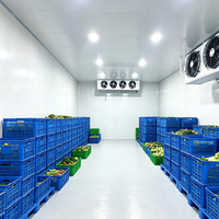 Chambre froide haute performance pour la chaîne du froid de la viande ; Congélateur compact avec système de rail et 30 % d'économie d'énergie