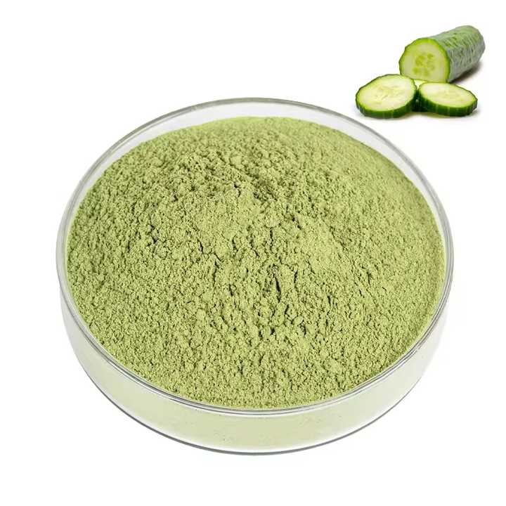 Factory Supply 100% Cucumber Powder Extract in Bulk