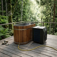 Baignoire ovale en cèdre rouge moderne et acier inoxydable, pour usage intérieur et extérieur, idéale pour la récupération sportive en hôtel, directement de l'usine