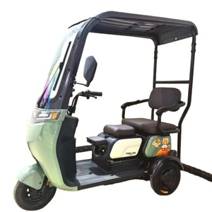 ราคาโรงงาน รถสามล้อไฟฟ้า 500 วัตต์ สำหรับผู้โดยสาร 3 ล้อ พร้อมหลังคา ได้รับการรับรองมาตรฐาน EEC - Product Image 1