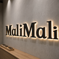 Enseigne de magasin d'optique : Lettres rétroéclairées en acier inoxydable noir mat avec halo acrylique chaud pour mur de showroom de lunettes haut de gamme