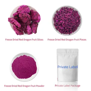 Novenzyme Private Label all'ingrosso Pink Pitaya Chips fetta di frutta del drago liofilizzata
