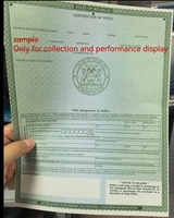 Certificado de Alta Calidad con Marca de Agua, Certificado con Microtexto, Certificado Invisible UV, Certificado UV para Sondas