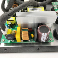 Module d'amplificateur de plaque numérique basse fréquence 250 Watts, conception solide et stable, amplificateur de plaque de subwoofer DSP personnalisé en usine, classe D