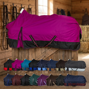Costa New Style Professional <b>Equestrian</b> Dressage Use Anti-Sweat Polyester Fly Sheets Lightweight Summer Blanket Rug Horses - Product Image 3