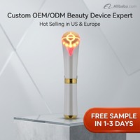 Lápiz Masajeador de Ojos Recargable con LED Rojo, Vibración y Función de Temporizador, Herramienta de Cuidado Facial de Acero Inoxidable y ABS