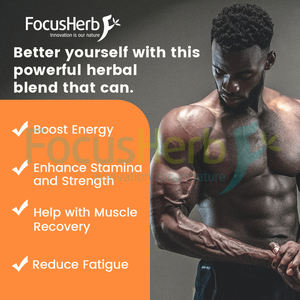 FocusHerb Private Label Pure Gold Shilajit Gummies Himalayan Shilajit Gummy con Ashwagandha - Product Image 3