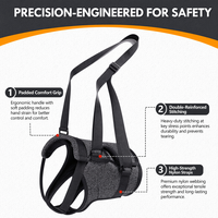 Harnais de Soutien Ergonomique pour Chien, en Polyester Durable et Respirant, pour la Rééducation de la Colonne Vertébrale et la Récupération de la Maladie Intervertebrale Discale (IVDD), Marque Personnalisée