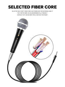 Altoparlante con Microfono Cablato GAM-106, Dotato di Microfono Dinamico per Canto KTV - Product Image 4