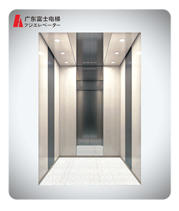 Hot Sale Passenger Elevator 10 Person Lift 800Kg Passenger Elevator Lift Building Lift Elevators