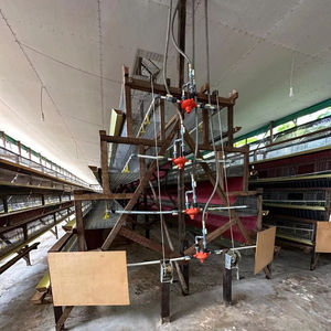 Indonésie 1000 poulets petite ferme avicole - Product Image 1