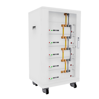 Armoire de batterie au lithium-fer-phosphate 51.2V 5-20KWH système de stockage d'énergie solaire domestique batterie au lithium-ion à haute efficacité