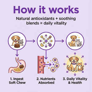Complément alimentaire en comprimés à mâcher doux <span class=keywords><strong>pour</strong></span> soulager les allergies aux animaux <span class=keywords><strong>de</strong></span> compagnie chez les chats et les chiens, soutien contre les démangeaisons et les allergies saisonnières, en stock - Product Image 6