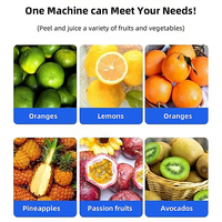 Industriële automatische sinaasappel-citroenpers/ ananas-citroensap extractor/ fruit-citroensapmachine
