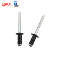 Pièces détachées automobiles Nouveau noyau à double tambour Rivets noirs galvanisés Clips en plastique pour pare-chocs Aluminium Fer Couleur noire