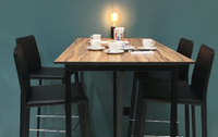 Table basse d'extérieur en surface solide HPL décorative, meubles stratifiés, imperméable, ignifuge, anti-rayures, école, hôtel, restaurant